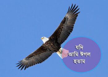 যদি আমি ঈগল হতাম