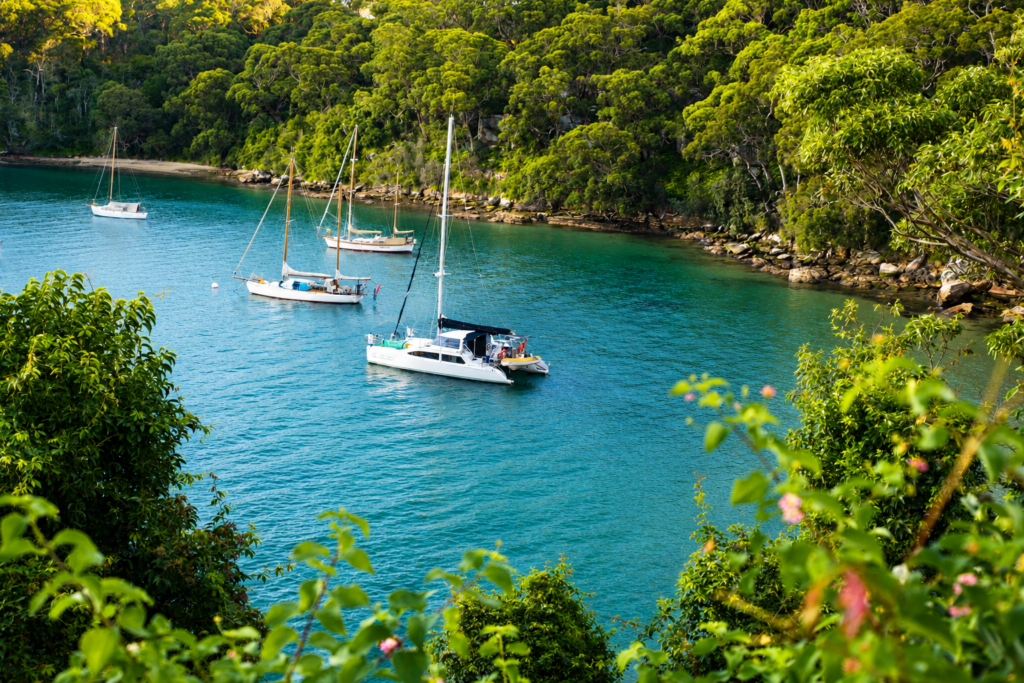 Sailboats Resting in a Sheltered Harbour