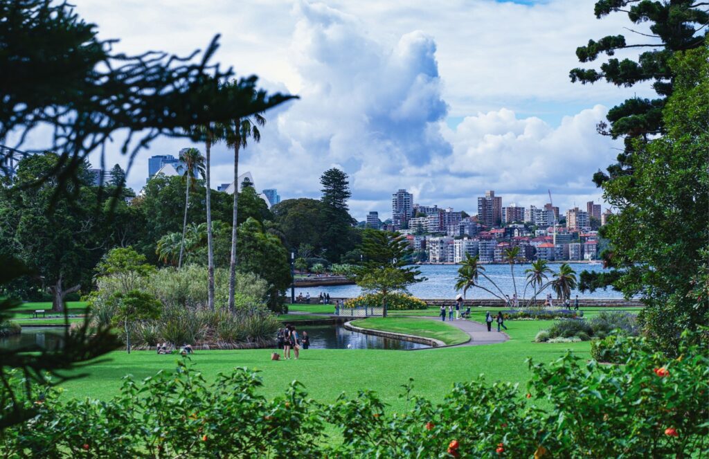 Sydney Through the Garden